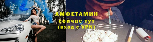 крисы Бронницы