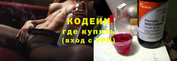 дмт Снежногорск