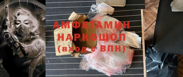 крисы Бронницы