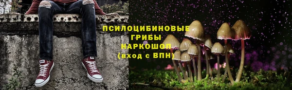 крисы Бронницы