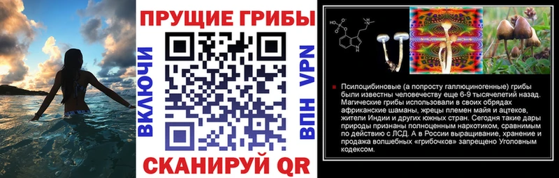 маркетплейс клад закладки Когалым Галлюциногенные грибы прущие грибы blacksprut вход